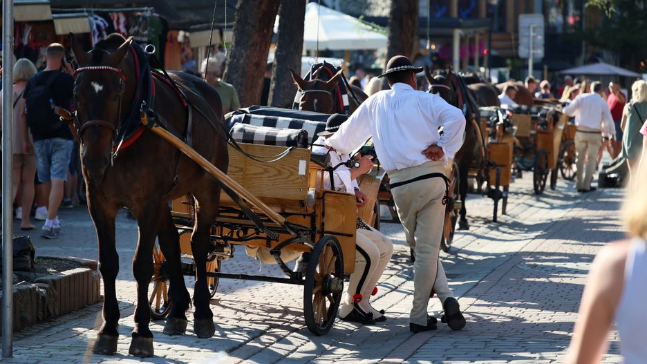 Mieszkańcy Bliskiego Wschodu pokochali Zakopane