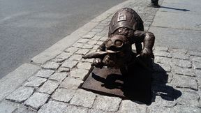 Takiego zawodnika nie ma nikt. Nowy członek w gnieźnieńskiej rodzinie żużlowej