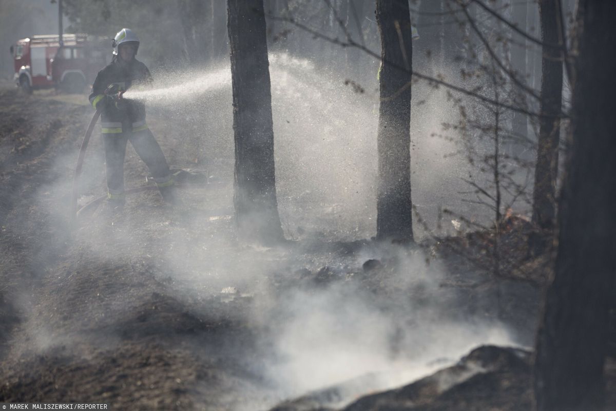 Niemieccy strażacy walczą z pożarami lasów na południe od Berlina. Zdjęcie ilustracyjne 