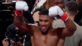 Sensacja. Media: oto kolejny rywal Joshuy