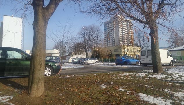 Dwa drzewa, które w przeszłości służyły małemu Arkowi Milikowi za słupki. Dalej parking, gdzie wcześniej znajdowało się boisko