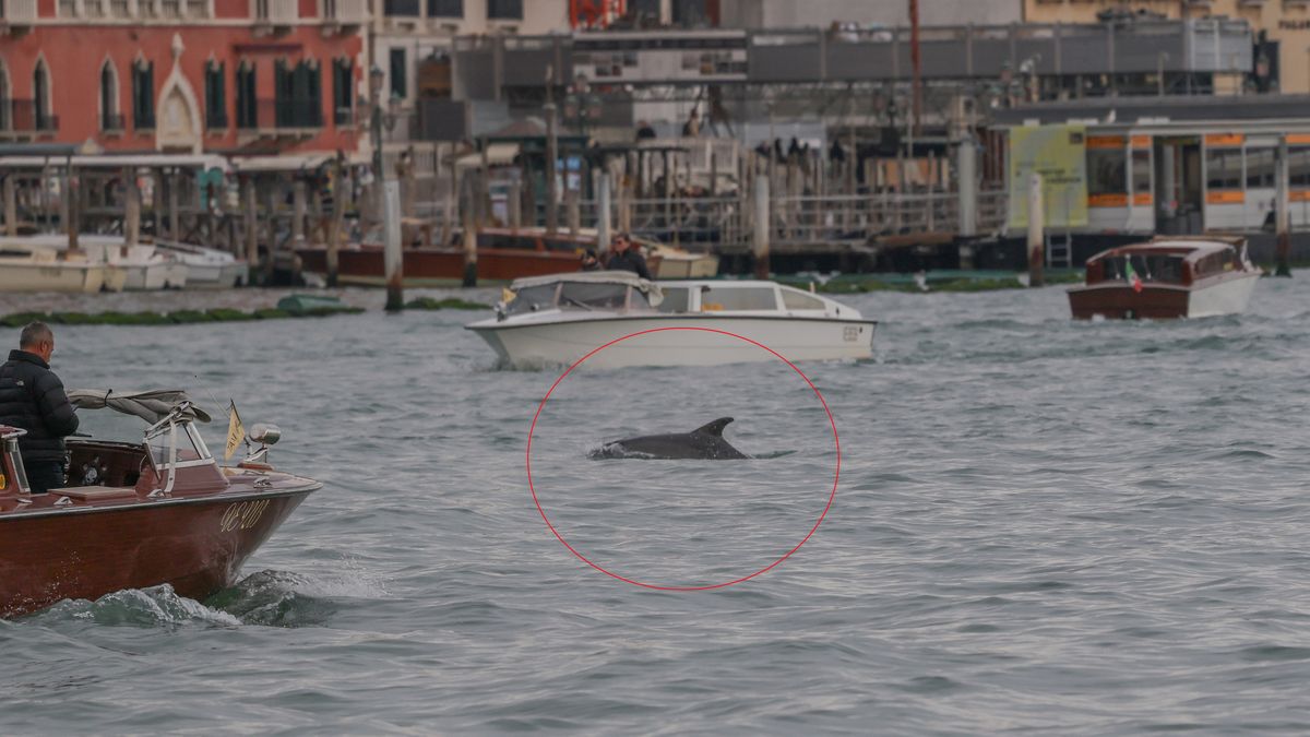Mimmo w Wenecji pod stałą obserwacją. Są pierwsze wyniki