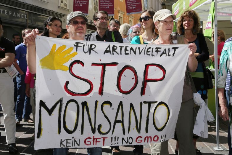 Monsanto często jest na świecie krytykowany za swe zmodyfikowane genetycznie produkty.