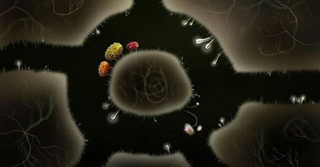 Nowa gra autorów Machinarium rozkwitnie już za momencik [Botanicula]