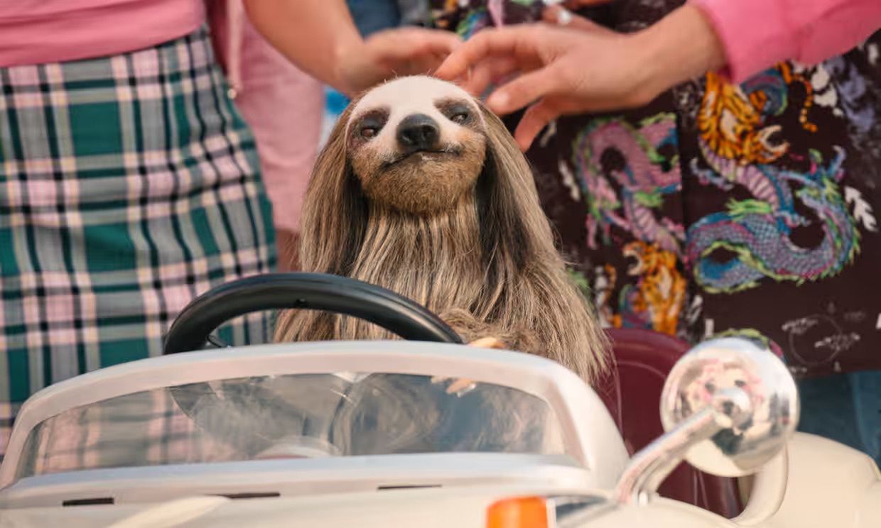 The sloth from "Slotherhouse: Lazy Death" is an exceptionally cunning killer.