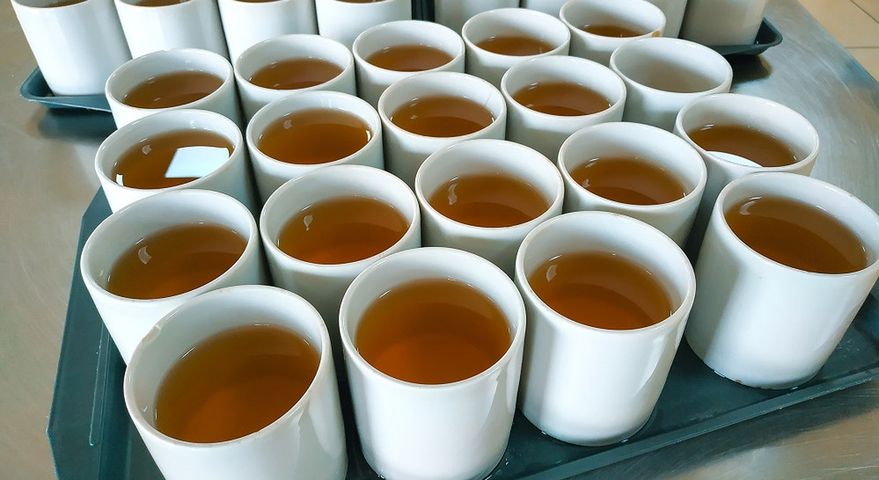 Co warto dodawać do herbaty?