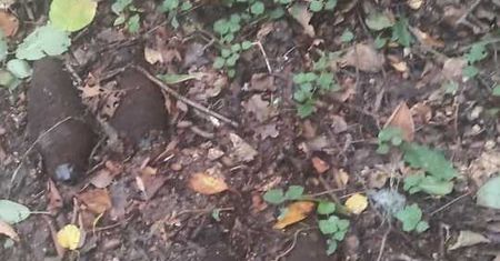 19 niewybuchów i granat znaleziony podczas grzybobrania.