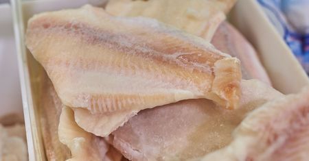 Panga – charakterystyka, sposoby przyrządzenia