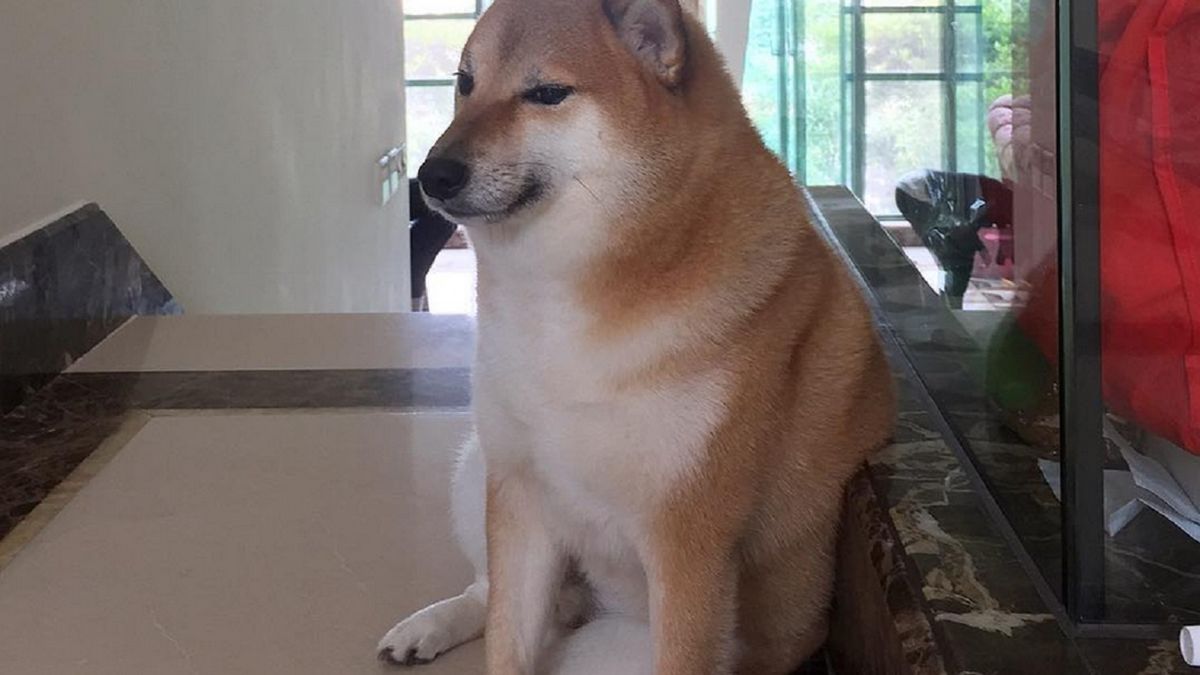 Nie żyje bohater memów.