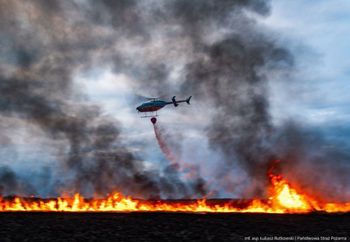 Akcja gaśnicza trwa. Żołnierze WOT i dron Bayraktar nad Biebrzą