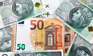 Kurs euro do złotego. Ekonomistka rysuje scenariusze. Mało pozytywów