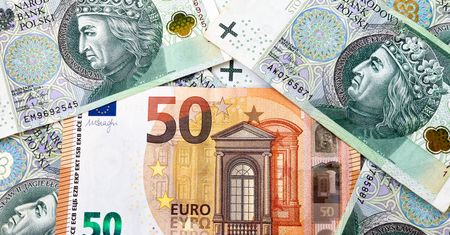 Kurs euro do złotego. Ekonomistka rysuje scenariusze. Mało pozytywów