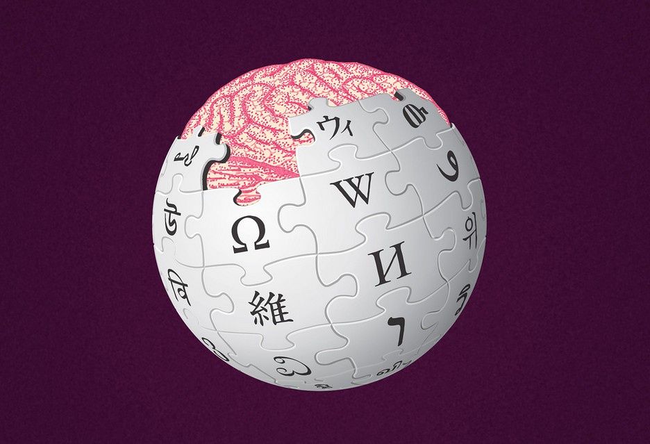 Wikipedia mózg