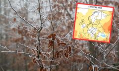 Taka pogoda zapowiada się w listopadzie. Są prognozy