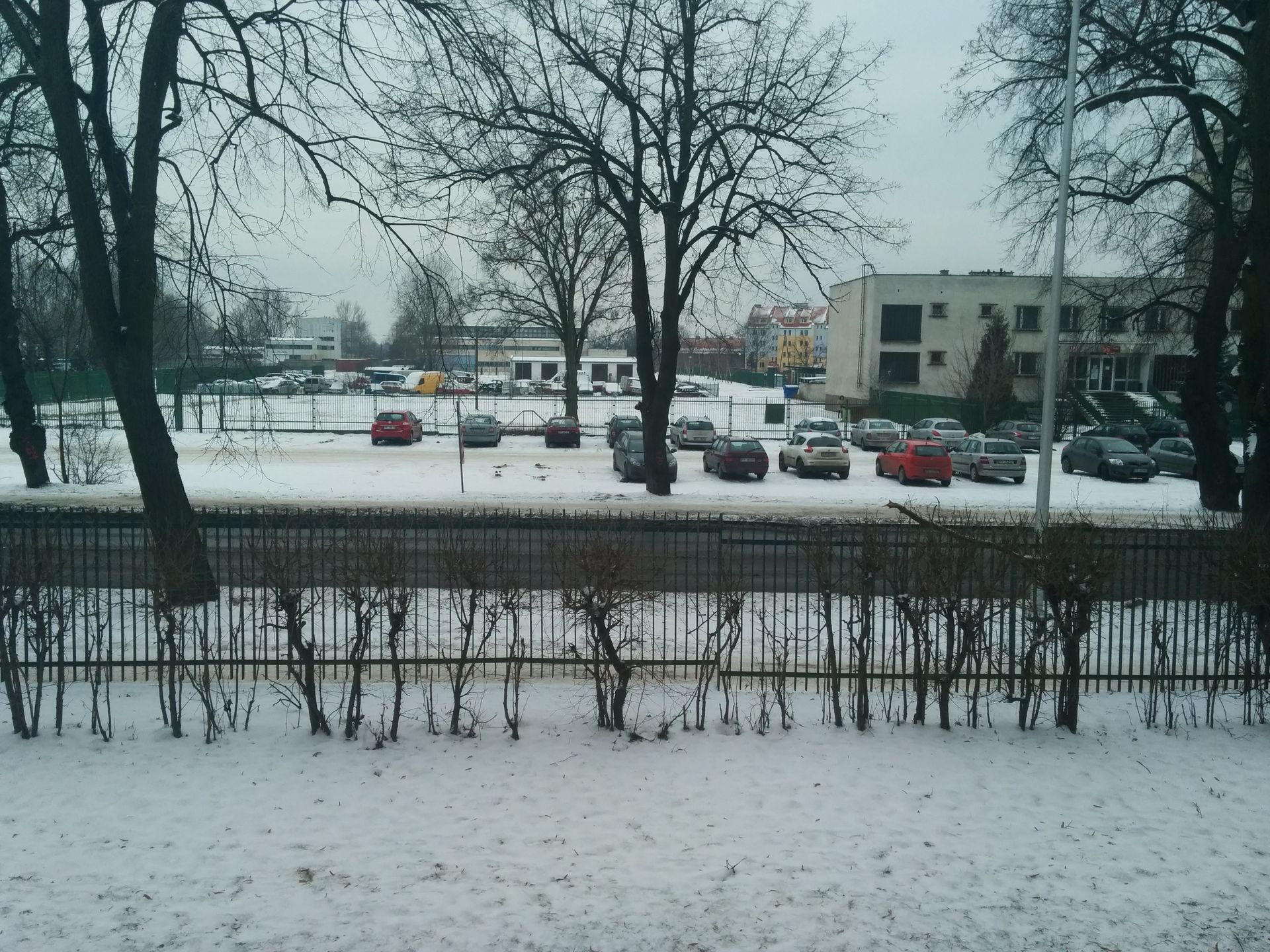 Nexus 5 - telefon stworzony po to, by robić dobre pierwsze wrażenie [test] 24