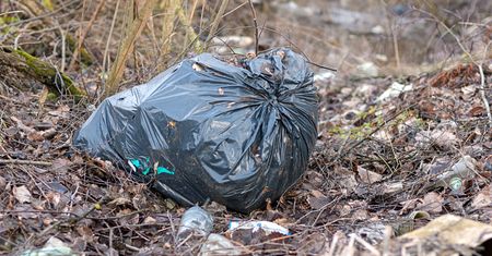 Podrzucone śmieci na działce. Co zrobić i kiedy koszty spadają na właściciela?