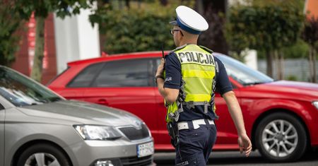 Tak działa nowe prawo. Policja konfiskuje 20 samochodów dziennie
