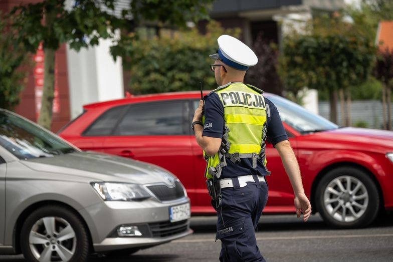 Tak działa nowe prawo. Policja konfiskuje 20 samochodów dziennie