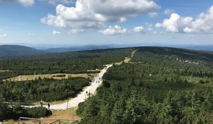 Czego nie wolno robić w lesie i parku narodowym? Odpowiadamy