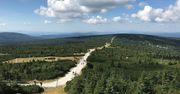 Czego nie wolno robić w lesie i parku narodowym? Odpowiadamy