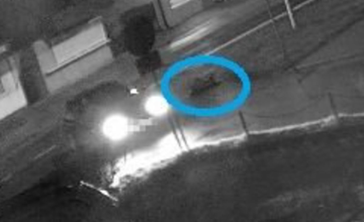 Tragedia na drodze. Nikt nie pomógł umierającemu