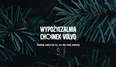 Volvo wypożycza choinki na święta