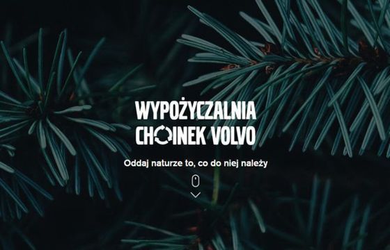 Volvo wypożycza choinki na święta