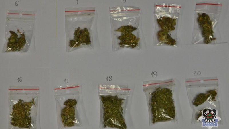 Wałbrzych. Walka z dilerami narkotykowymi. 12 osób zatrzymanych