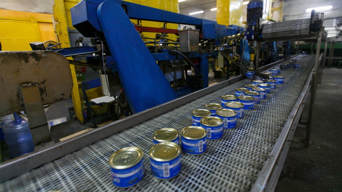 Żywność; jedzenie; produkcja; produkcja żywności; produkcja jedzenia; puszki; fabryka; taśma produkcyjna