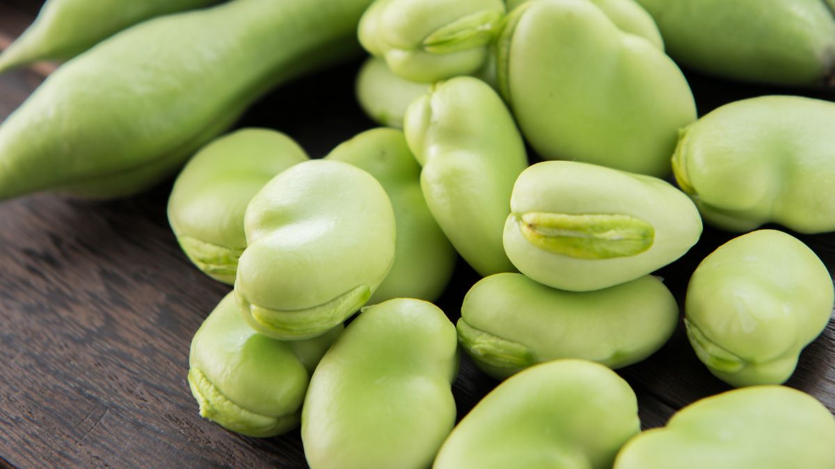 Pierogi z bobem to dobry pomysł na wykorzystanie tego sezonowego składnika