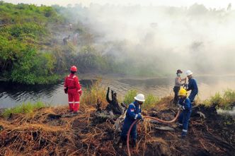 Gigantyczne pożary w Indonezji. Kto jest winien?