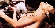 Koń liże piersi Angeliny Jolie (zdjęcia)