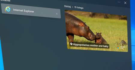 Internet Explorer przestał istnieć. To już koniec legendarnej przeglądarki