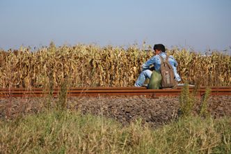 Kryzys migracyjny. Węgry otworzyły główne przejście na granicy z Serbią