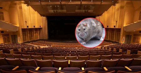 Panika we włoskim teatrze. Widzowie zaczęli krzyczeć