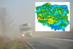 Rolnicy biją na alarm. Po przymrozkach nadciąga inny problem