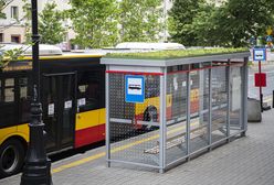 Warszawa. Pierwsza zielona wiata. Będą następne