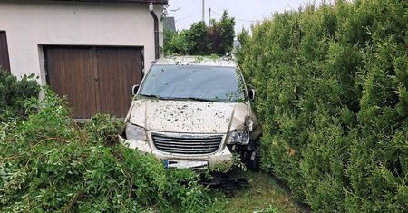 Zniszczył ogródek i uciekł pieszo. Od razu zadzwonili na policję