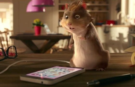 Chomiki w reklamie Multimedia Polska, Kot Przybora reżyserem (wideo)