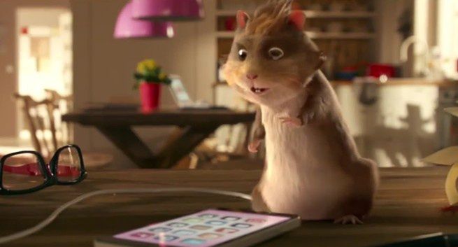 Chomiki w reklamie Multimedia Polska, Kot Przybora reżyserem (wideo)