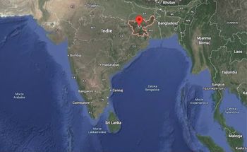 Indie. Młody słoń zabił 20 osób. Trwa obława