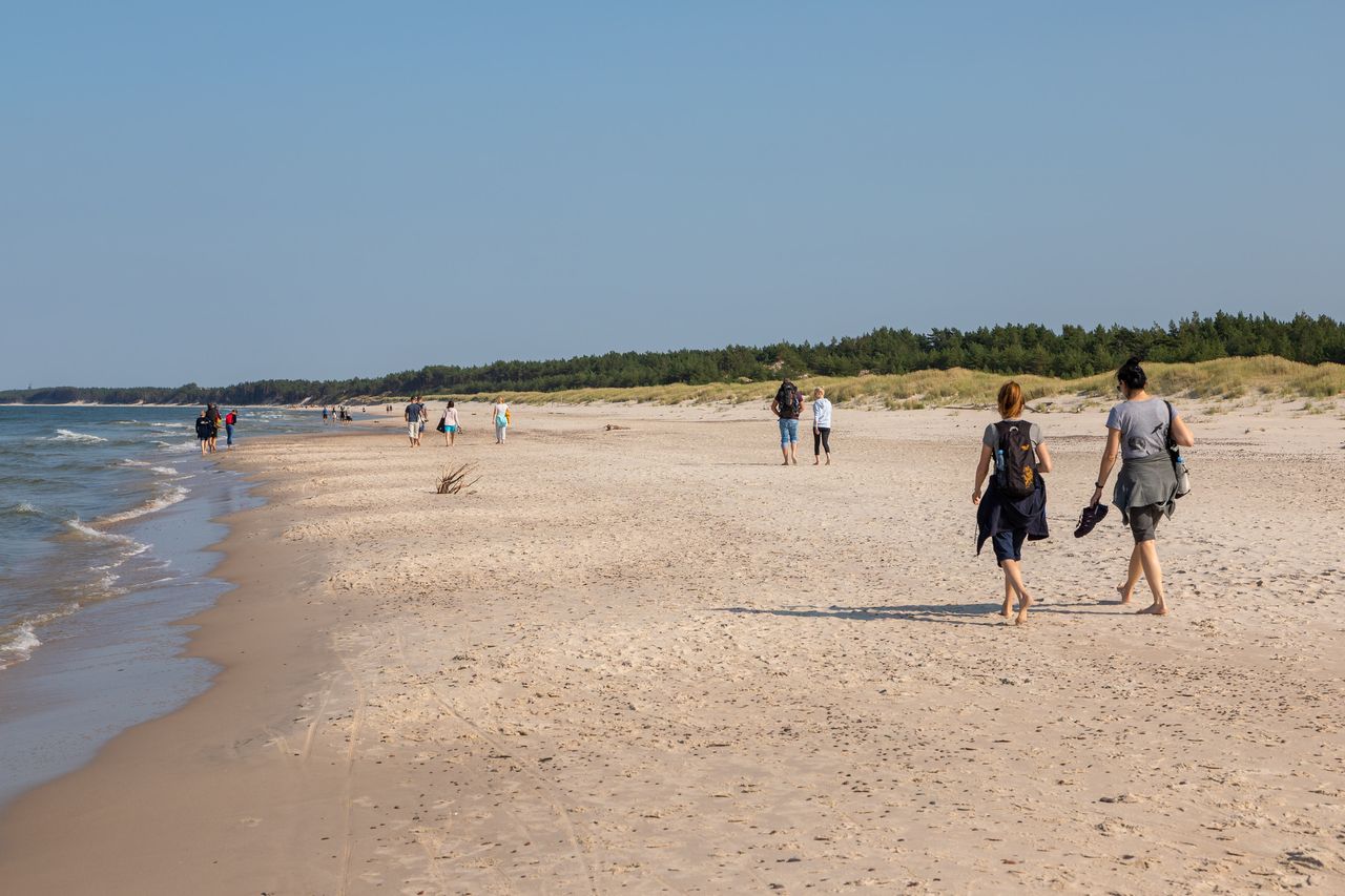 Mówi, co Czesi robią nad Bałtykiem. "Polacy jeszcze nie potrafią"