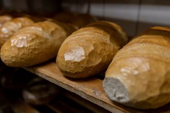 Ukraina próbuje zapobiec kryzysowi żywnościowemu. Czy pomogą jej w tym sąsiedzi?