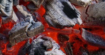 Zastąpią węgiel trawą. Niemcy zaprojektowali specjalny piec