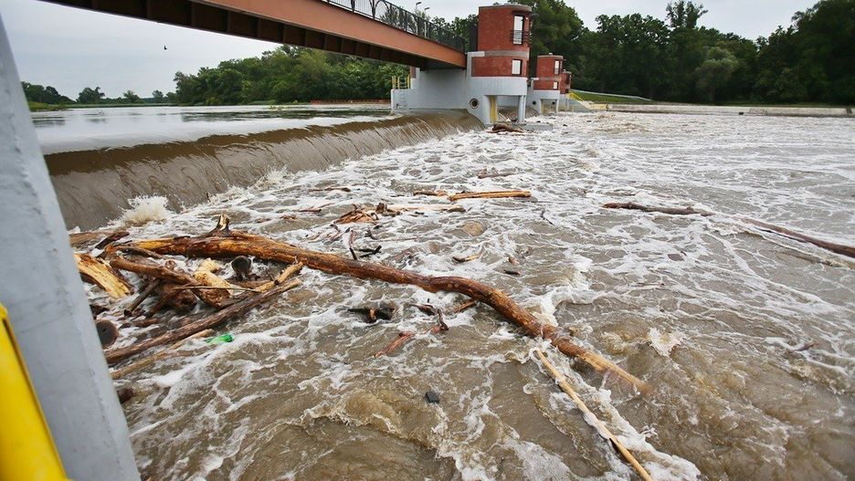 Wysoki poziom wody w Odrze