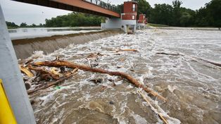 Poziom wód w Odrze cały czas rośnie. Hydrolodzy wydają żółte alerty