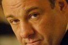 ''Criminal Justice'': James Gandolfini broni Riza Ahmeda