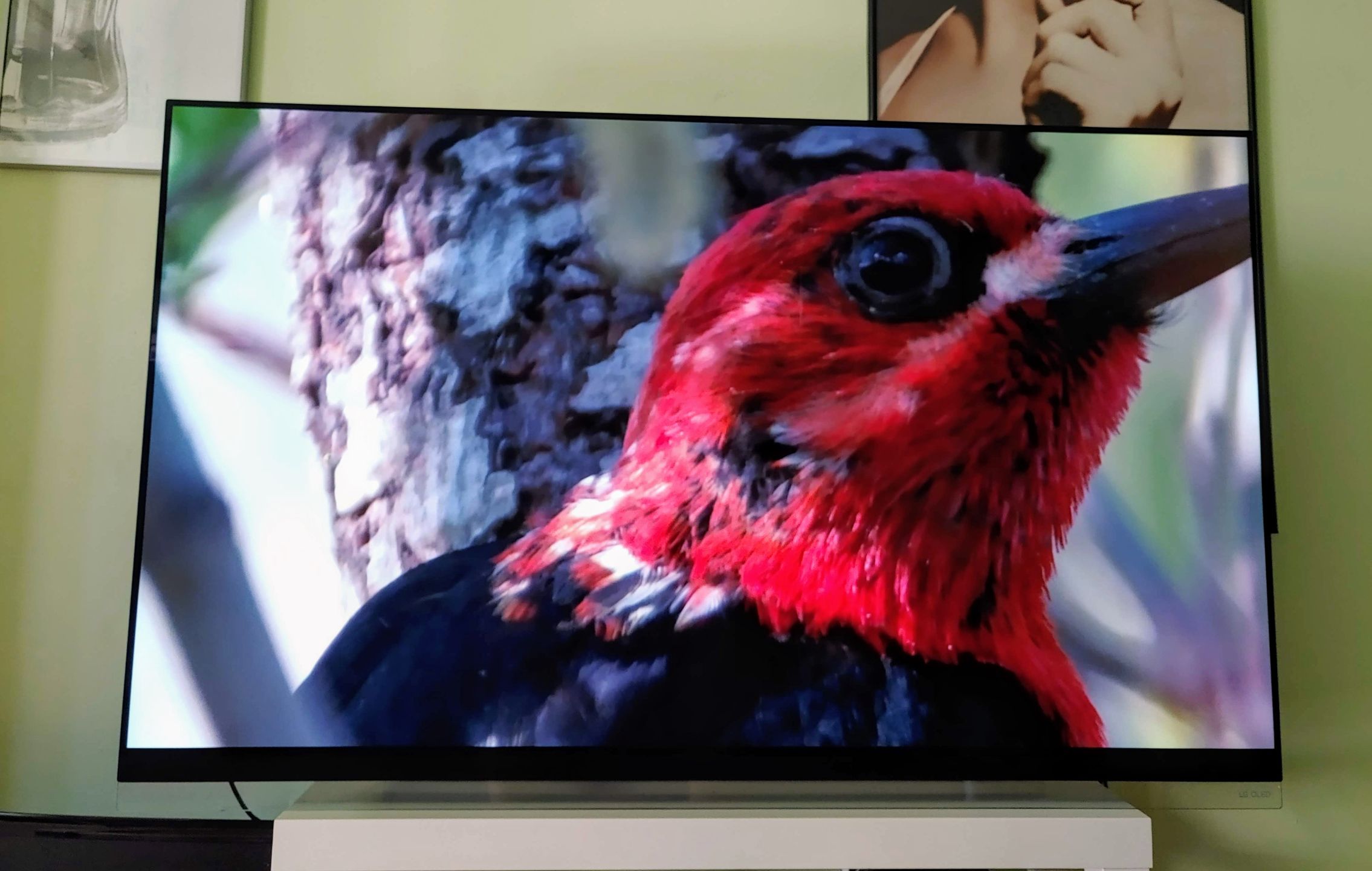 LG OLED E9 2019. Test telewizora dla bogatych 2