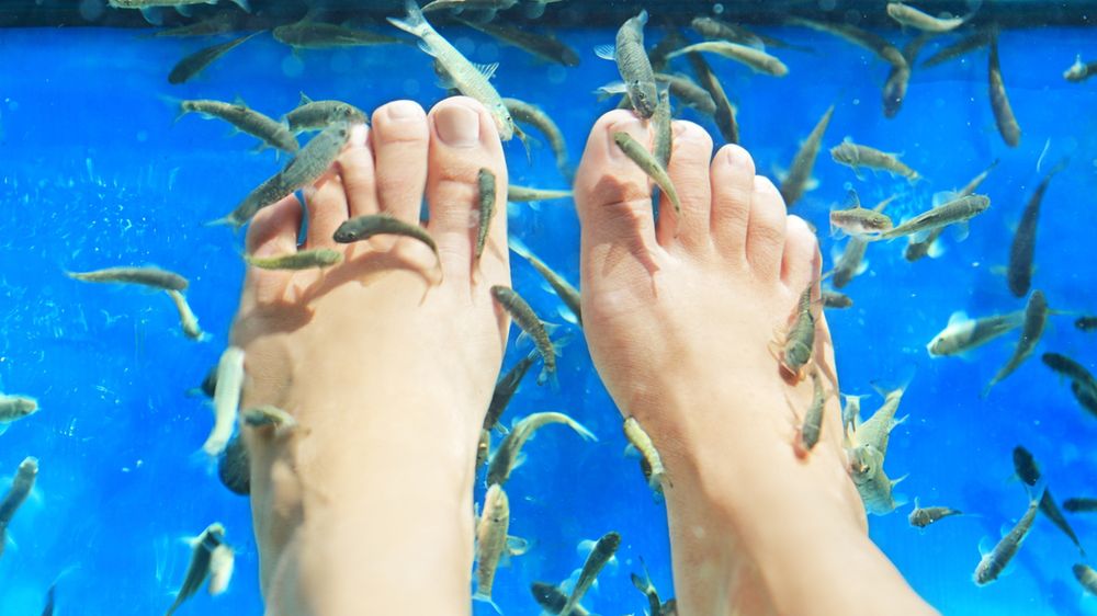 Najdziwniejsze zabiegi pielęgnacyjne