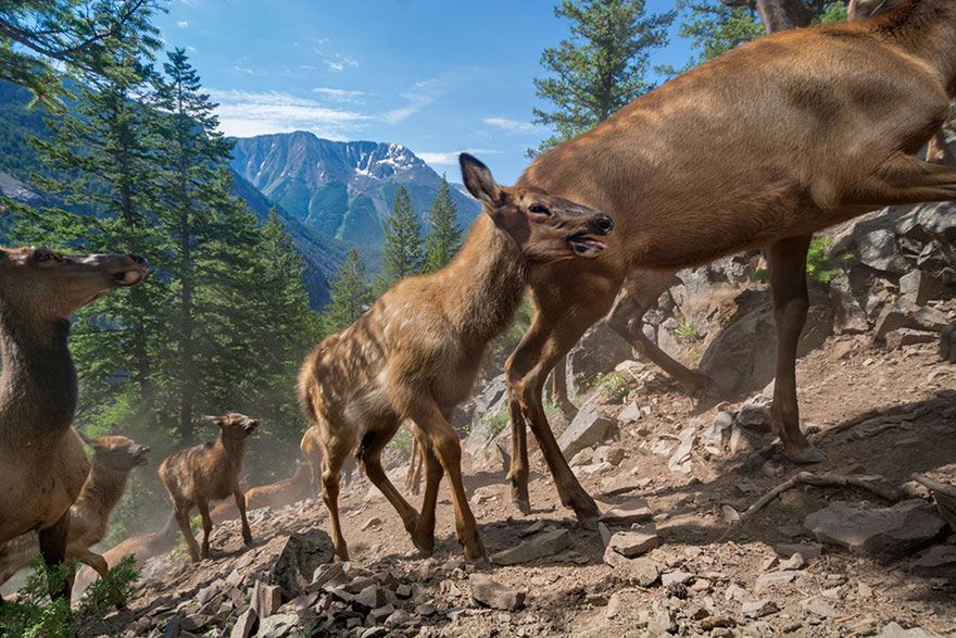 Oto najlepsze fotografie 2016 roku według magazynu National Geographic 38